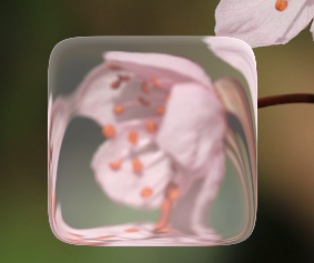 image.png|274